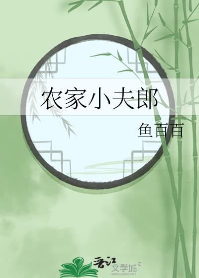 农家小夫郎重生招赘婿林出尘